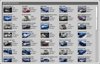 Thumbnail grid view